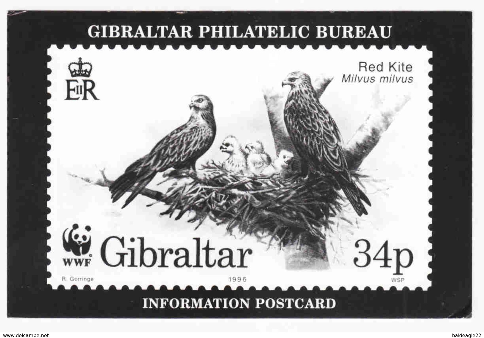 Gibraltar - Philatelic Bureau - Birds, Red Kite - WWF - 1996 - Used - Gibraltar