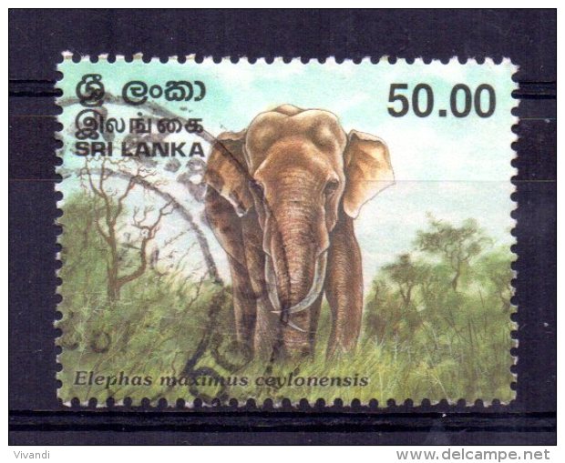 Sri Lanka - 1998 - 50r Bull Elephant - Used - Sri Lanka (Ceylon) (1948-...)