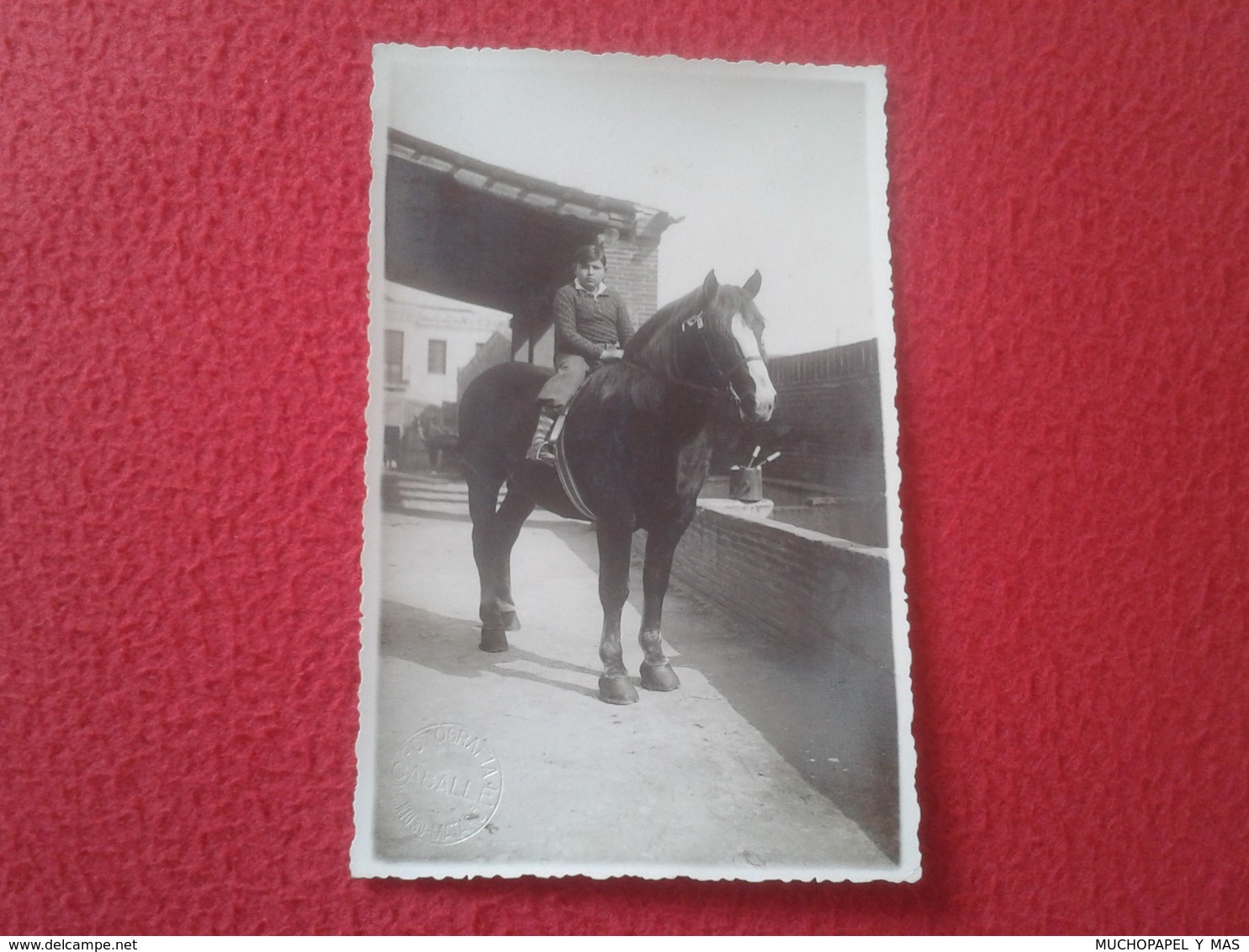 ANTIGUA POSTAL FOTOGRÁFICA POST CARD CARTE POSTALE PHOTO JOVEN MONTADO A CABALLO. HORSE VER FOTO/S Y DESCRIPCIÓN. - Fotografía