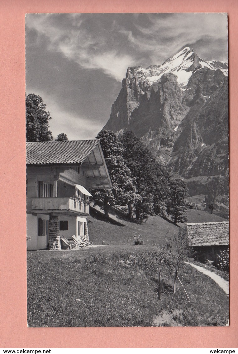 OUDE POSTKAART ZWITSERLAND - SUISSE -  SCHWEIZ -    GRINDELWALD - CHALET MURMELI - Grindelwald