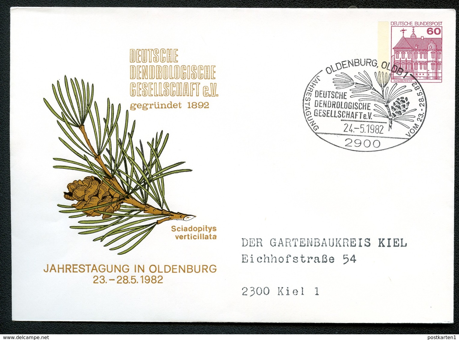 Bund PU115 D2/053 Privat-Umschlag SCHIRMTANNE Sost. Dendrologie Kiel 1982 - Enveloppes Privées - Oblitérées