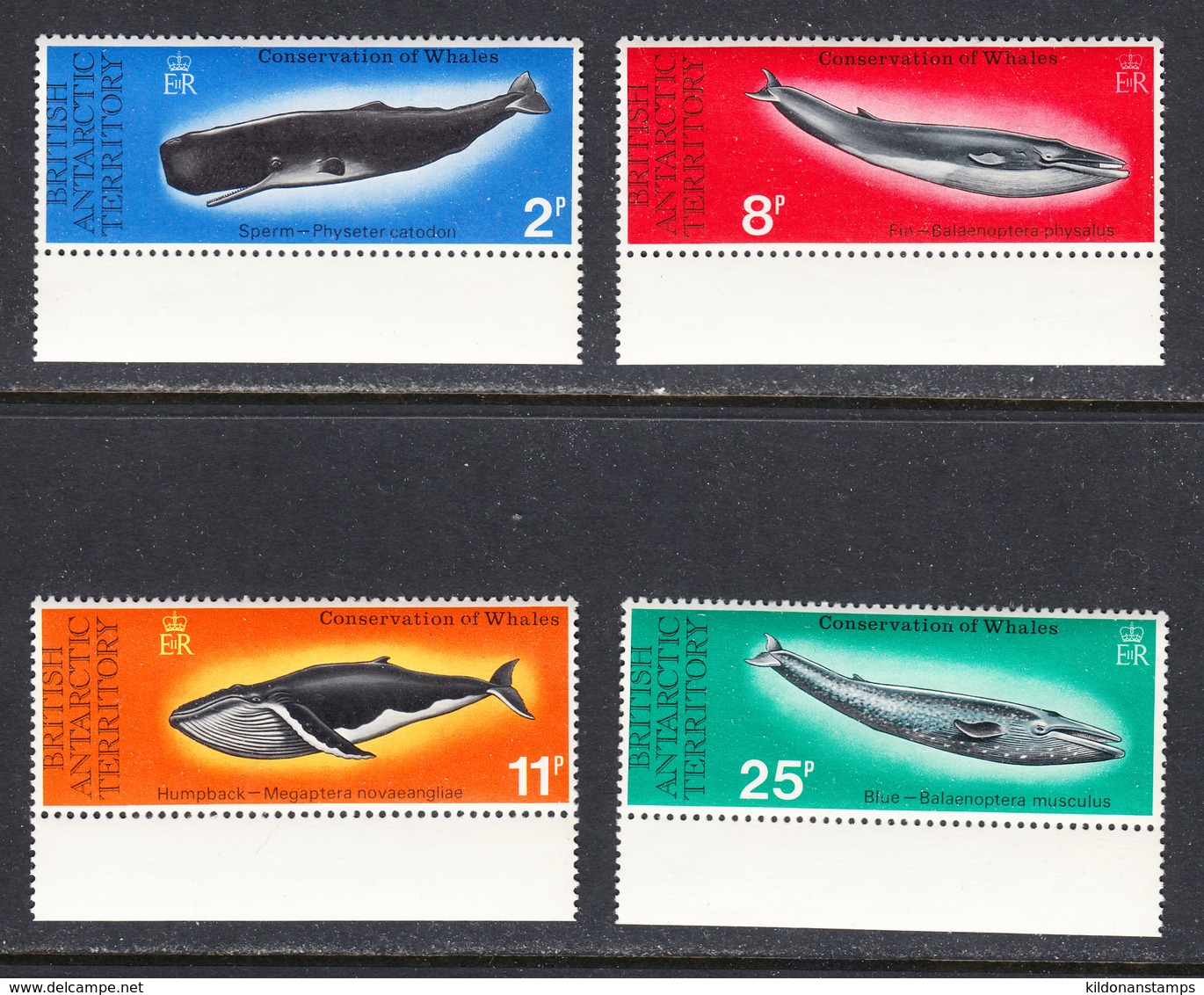 British Antarctic Territory 1977 Mint No Hinge, Sc# 64-67,SG 79-82 - Unused Stamps