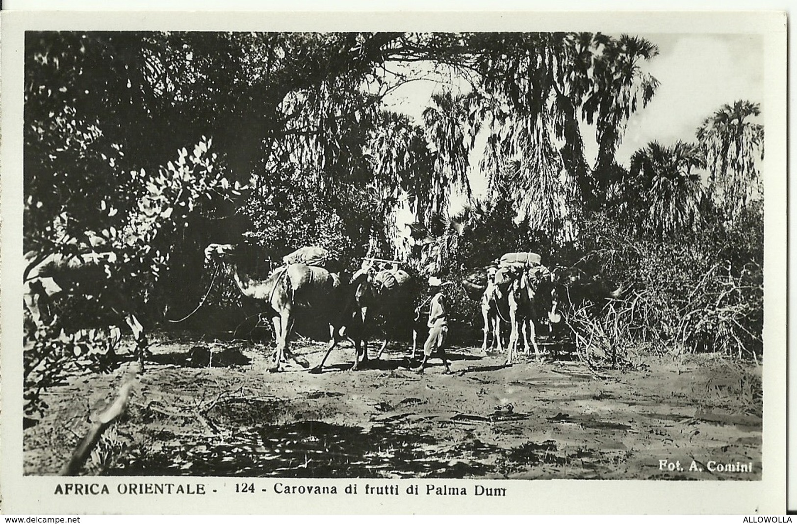 607 " AFRICA ORIENTALE CAROVANA DI FRUTTI DI PALMA DUM" CART ANIM NON SPED. - Non Classés