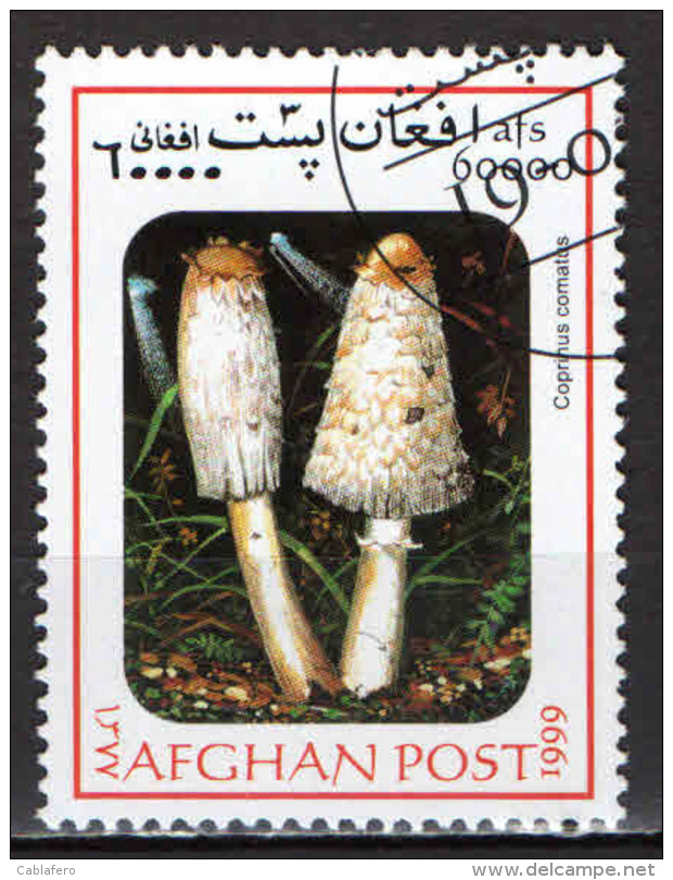 AFGHANISTAN - 1999 - FUNGHI - USATO - Afghanistan