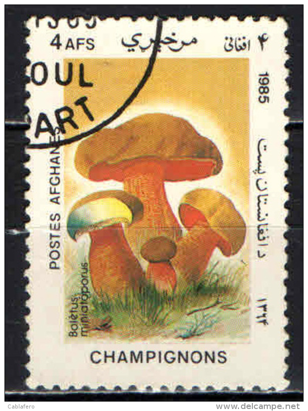 AFGHANISTAN - 1985 - FUNGHI: CHAMPIGNONS - USATO - Afghanistan