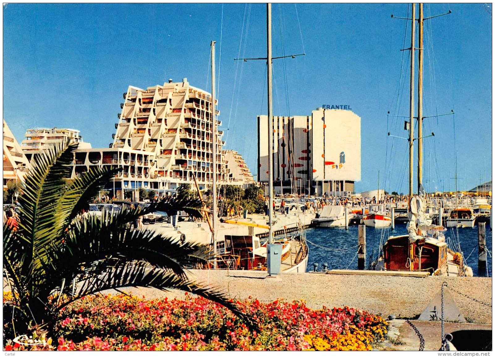 CPM - 34 - LA GRANDE-MOTTE - Le Port De Plaisance, Le Front De Mer - Mauguio