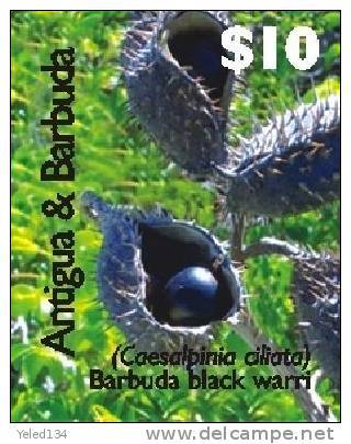 ANTIGUA  & BARBUDA  2992  MINT NEVER HINGED SET OF STAMPS OF FRUITS - BLACK WARRI ; FLORA (   0719 - Autres & Non Classés