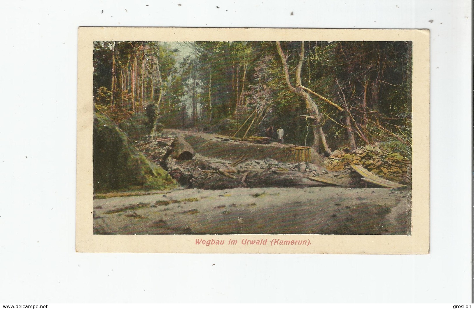 KAMERUN   WEGBAU IM URWALD 1915 - Camerun