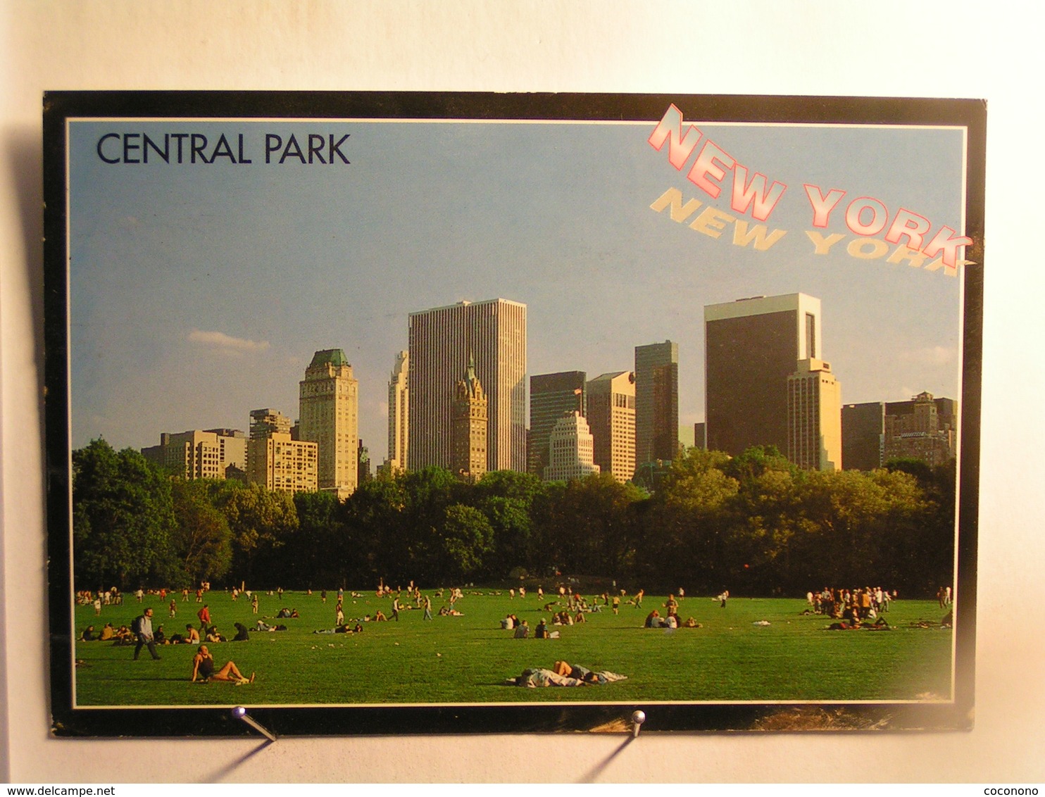 New York City - Central Park - Central Park