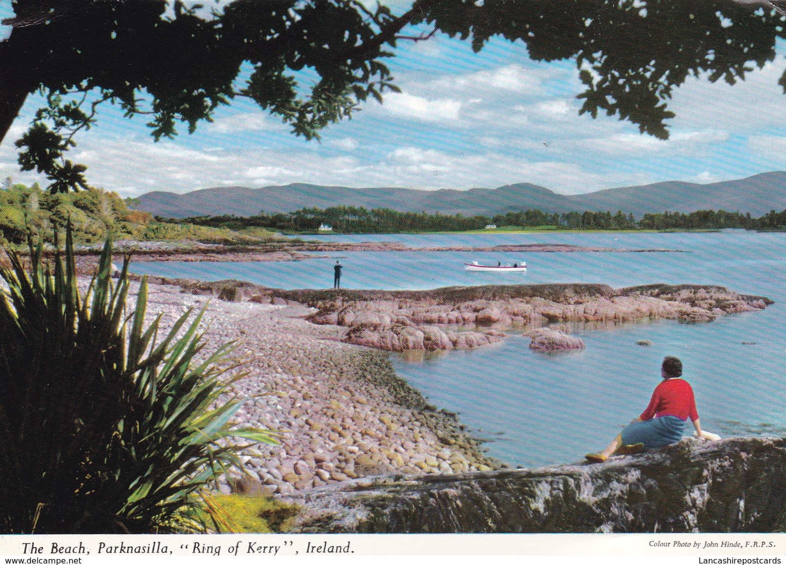 Postcard The Beach Parknasilla Ring Of Kerry Ireland [ John Hinde ] My Ref  B22570 - Kerry