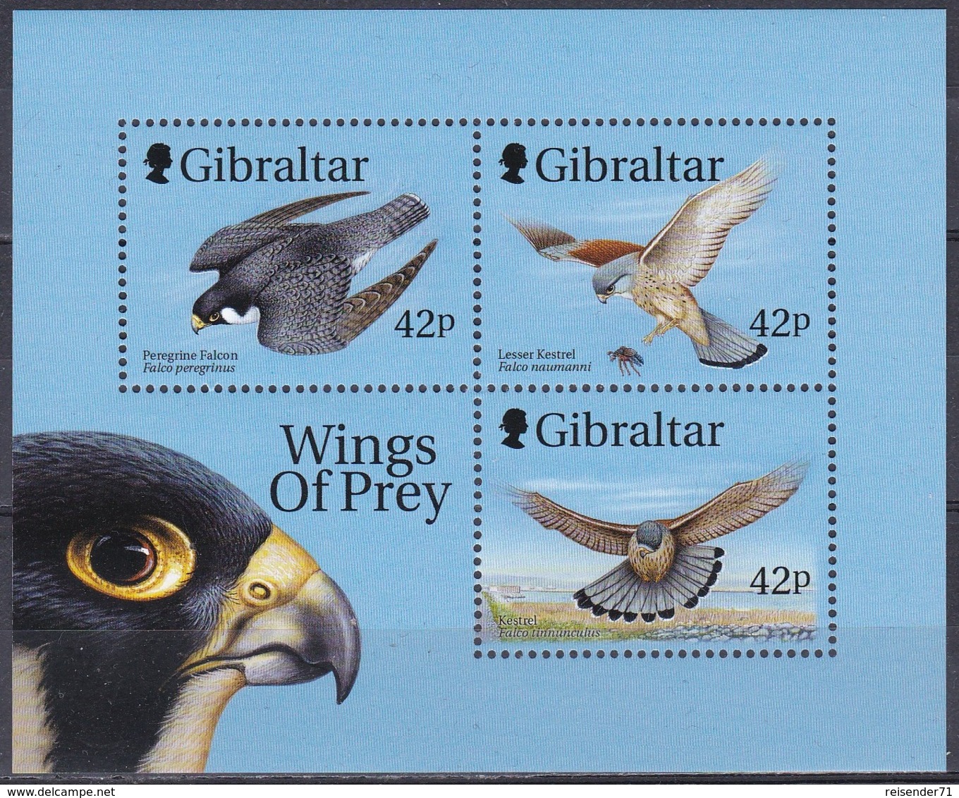 Gibraltar 1999 Tiere Fauna Animals Vögel Birds Oiseaux Pajaro Uccelli Falken Falcons, Bl. 39 ** - Gibraltar