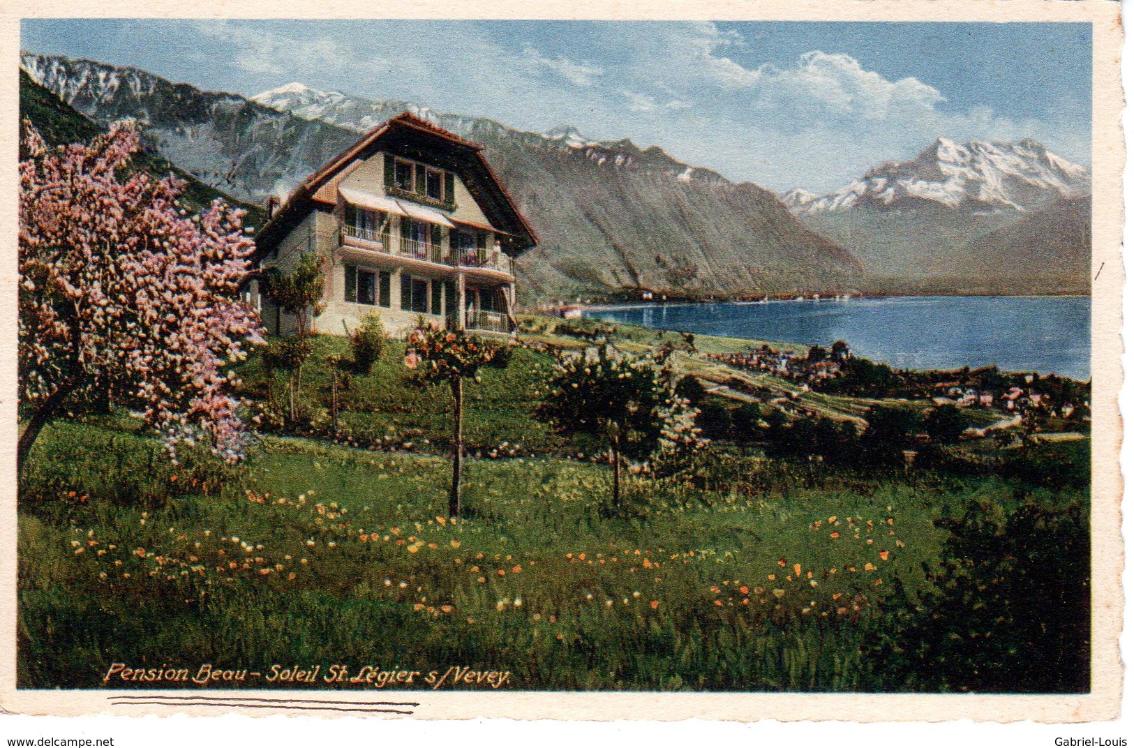 Pension Beau-Soleil St. Légier S/ Vevey - Vevey