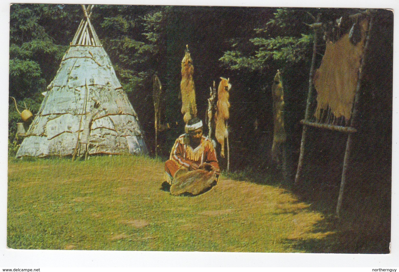 ROCKY POINT, Prince Edward Island, Canada, Firs, Birch Bark Wigwam, MICMAC Indian Village, Old Chrome Postcard - Otros & Sin Clasificación