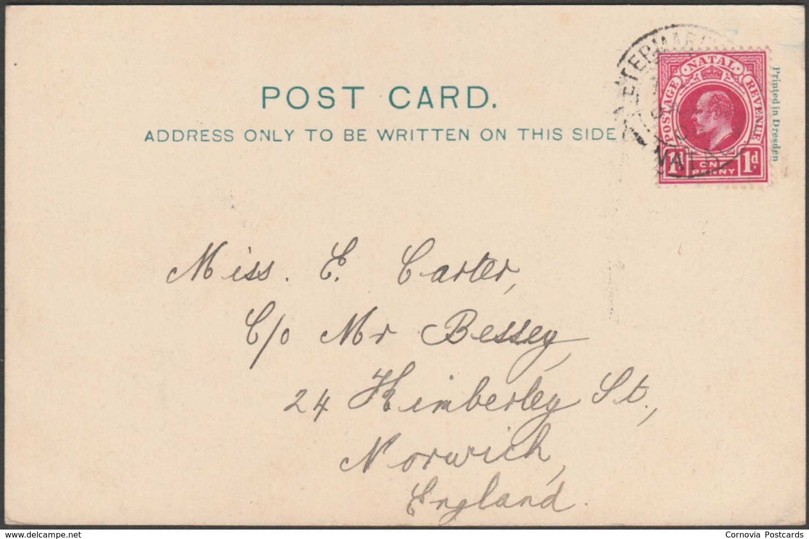 Young Men's Christian Association, Pietermaritzburg, Natal, 1908 - Sallo Epstein U/B Postcard - South Africa