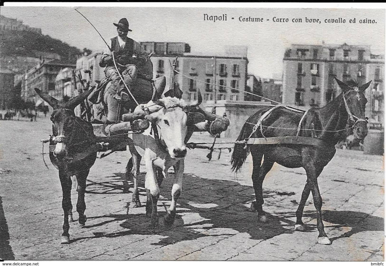 Napoli - Costume - Carro Con Bove, Cavallo Ed Asino - Napoli (Napels)