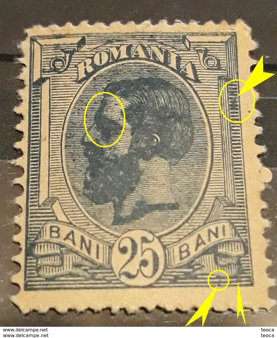 ERROR Romania 1900 KING Carol I, SPIC DE GRAU 25  Bani BLUE  Misplaced Image,SPOT  COLOR IN FRAME RIGHT - Ungebraucht