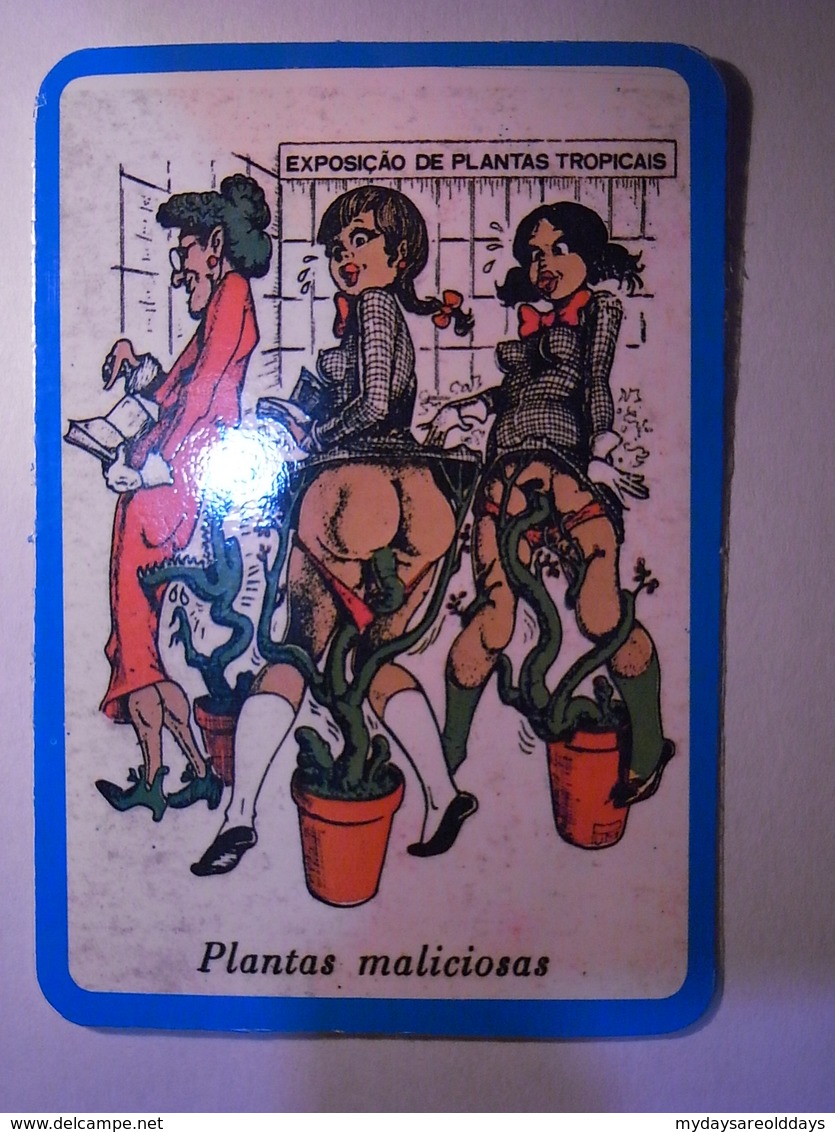 1 Calendar - Cartoon Erotico Erotic Woman Nude Sexy Mulher Nua Sex Porn Pornographic (xx3) - Formato Piccolo : 1991-00