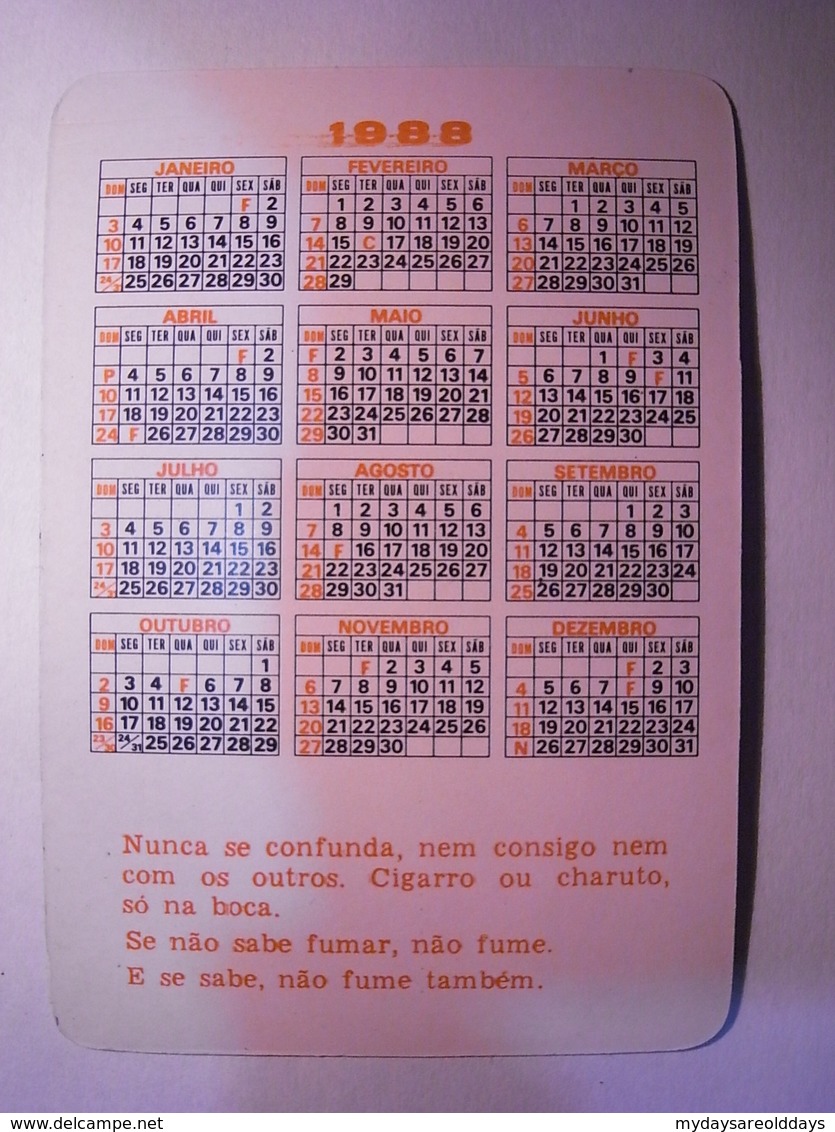 1 Calendar - Cartoon Erotico Erotic Woman Nude Sexy Mulher Nua Sex Porn Pornographic (xx3) - Formato Piccolo : 1991-00