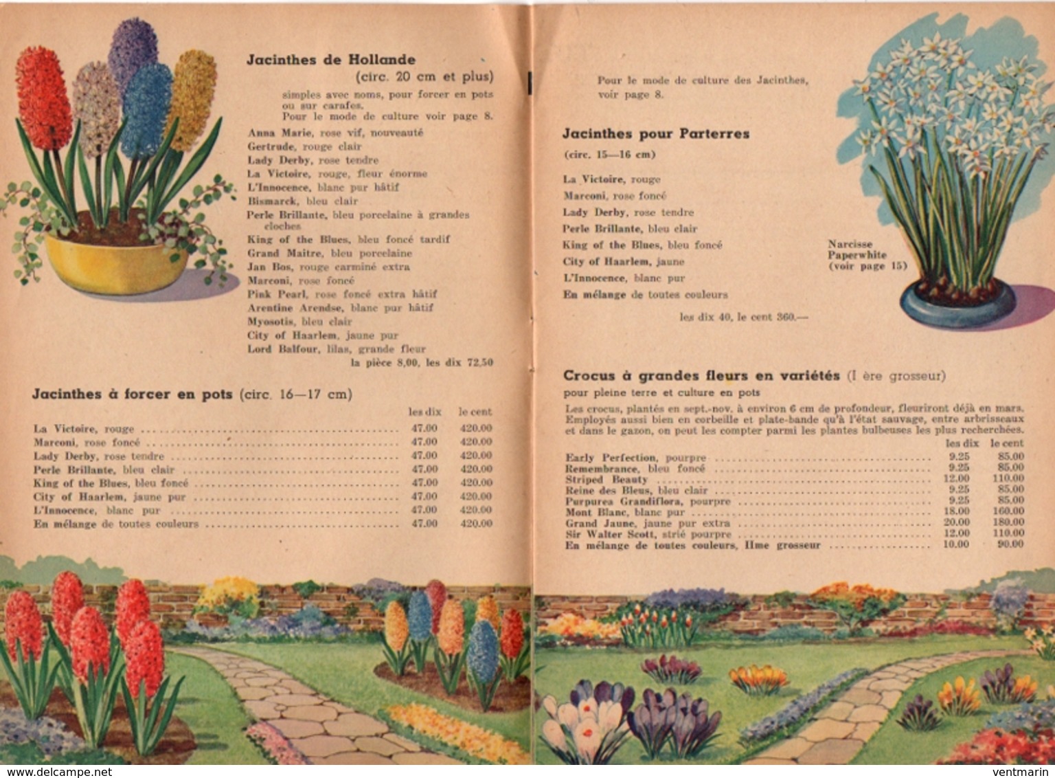 Catalogue 1949-1950 Jules Simon Bruxelles - Jardinage