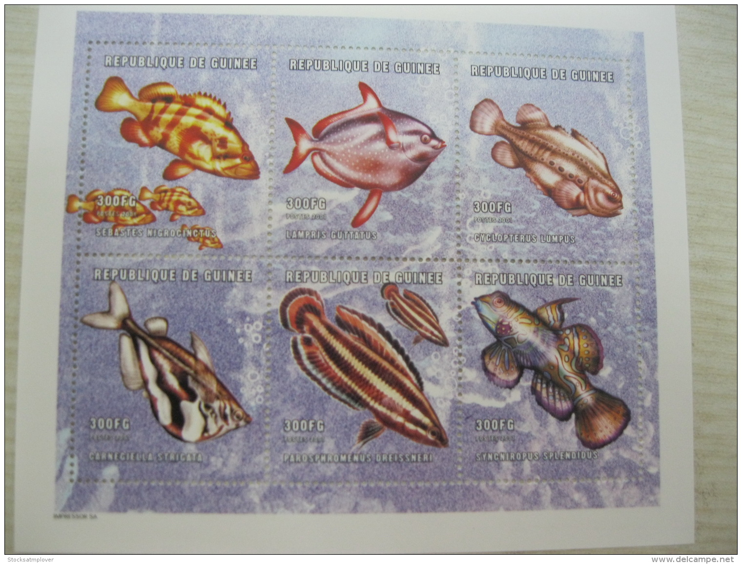 Guinea 2001  Marine Life Fish  MI. 3028-3033 - Guinée (1958-...)