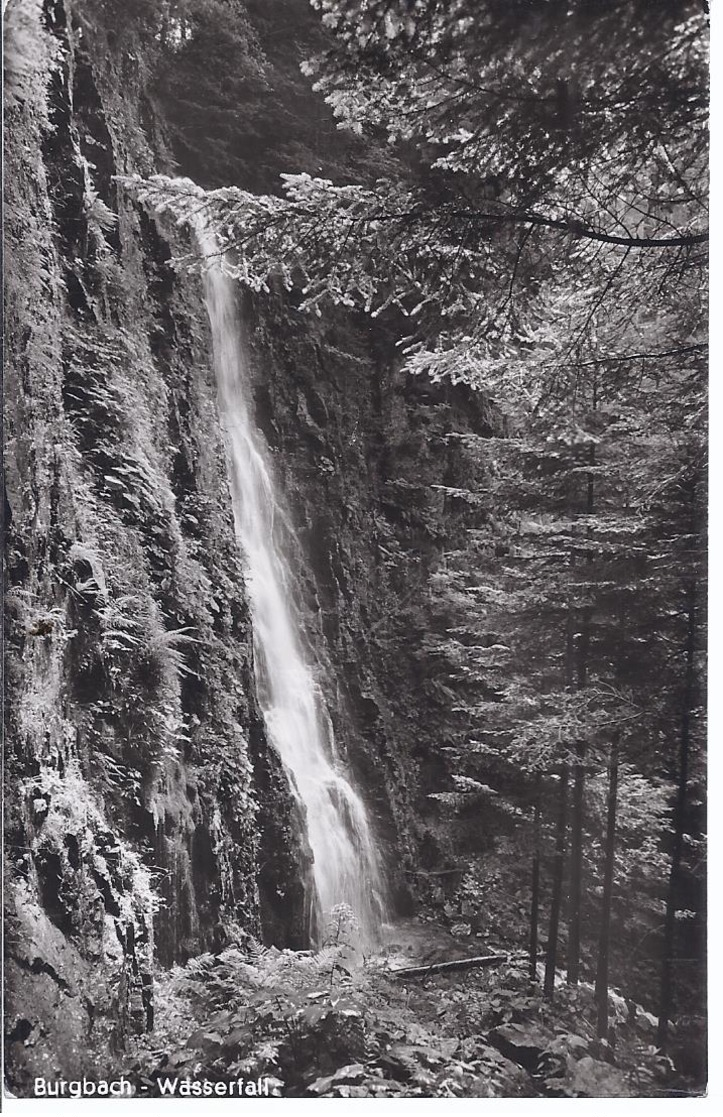 Burgbach Bei Bad Rippoldsau - Wasserfall    -    (90100-001) - Bad Rippoldsau - Schapbach