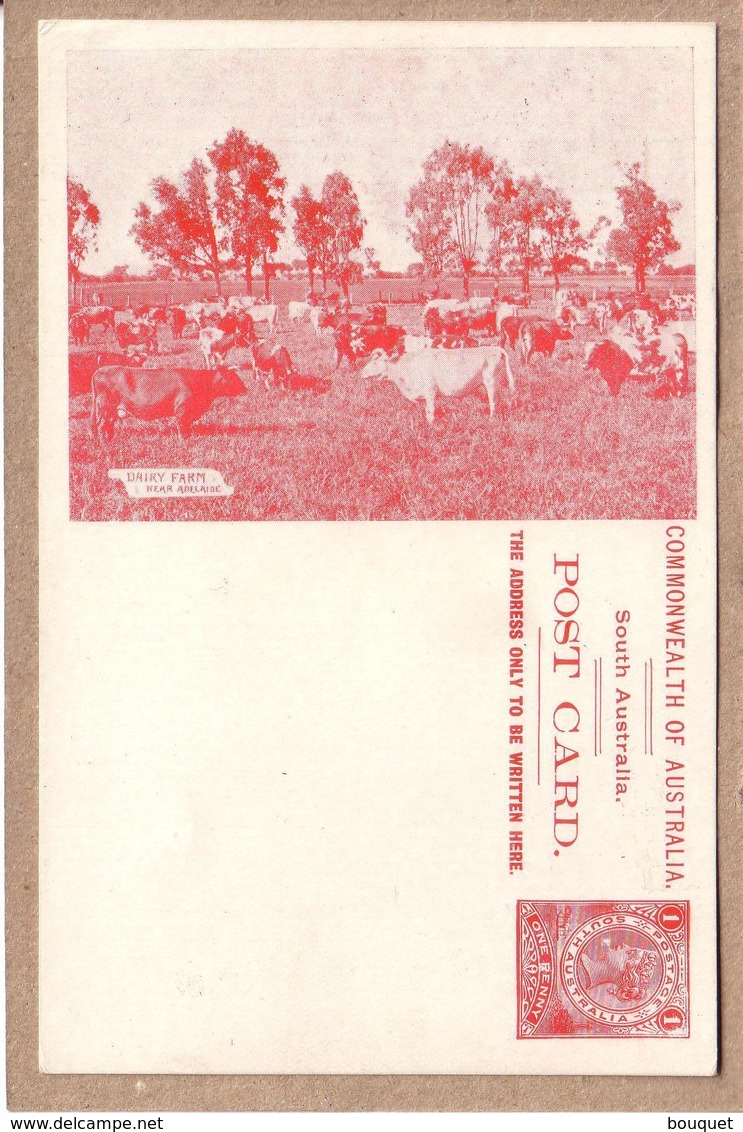 AUSTRALIE - SOUTH AUSTRALIA - POSTAL STATIONERY  ONE PENNY VICTORIA - ENTIER POSTAL - NEAR ADELAIDE - DAIRY FARM - Adelaide