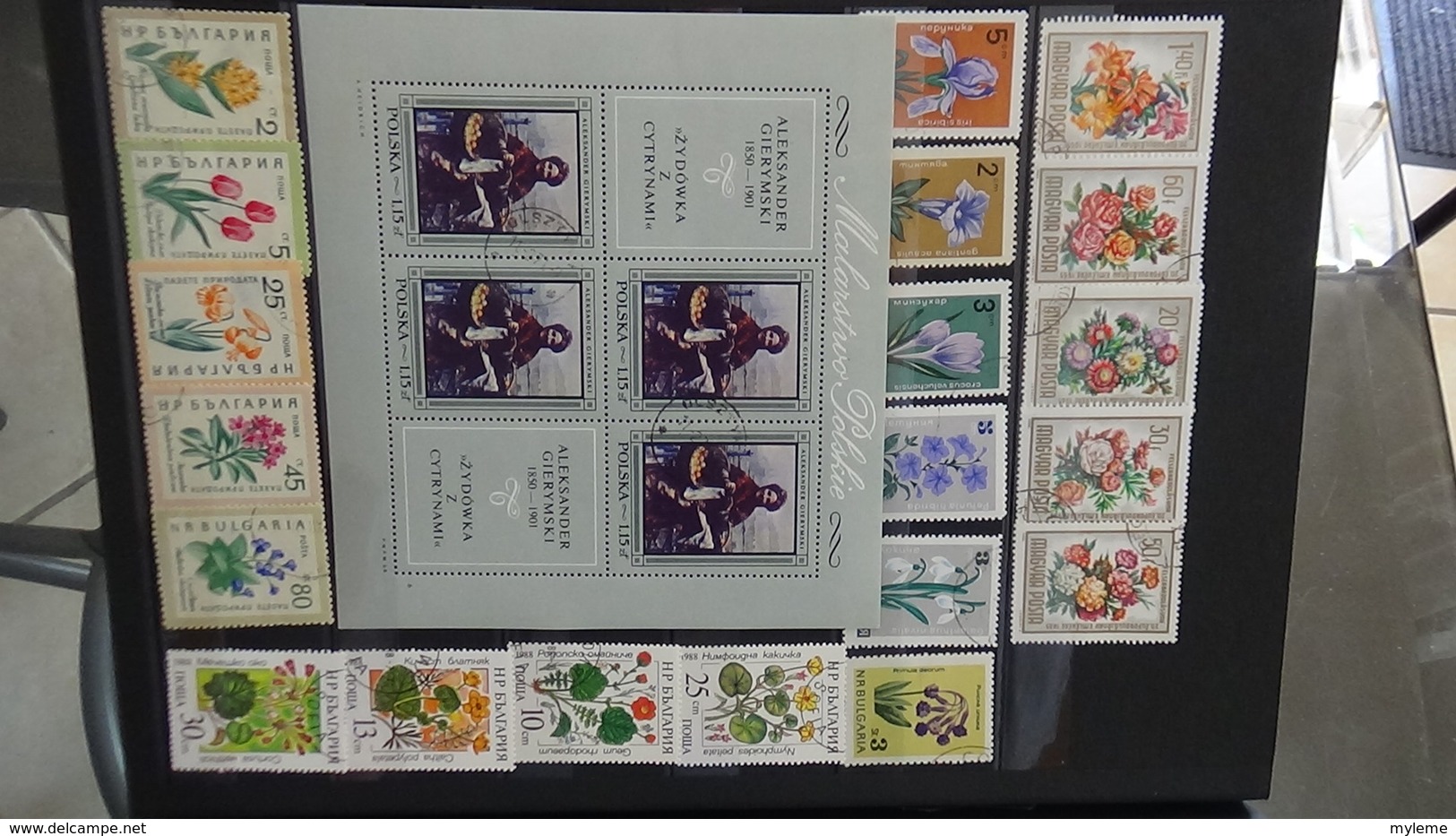 Collection de timbres oblitérés du monde dont bonnes valeurs de France. Port offert à partir de 50 euros d'achat.