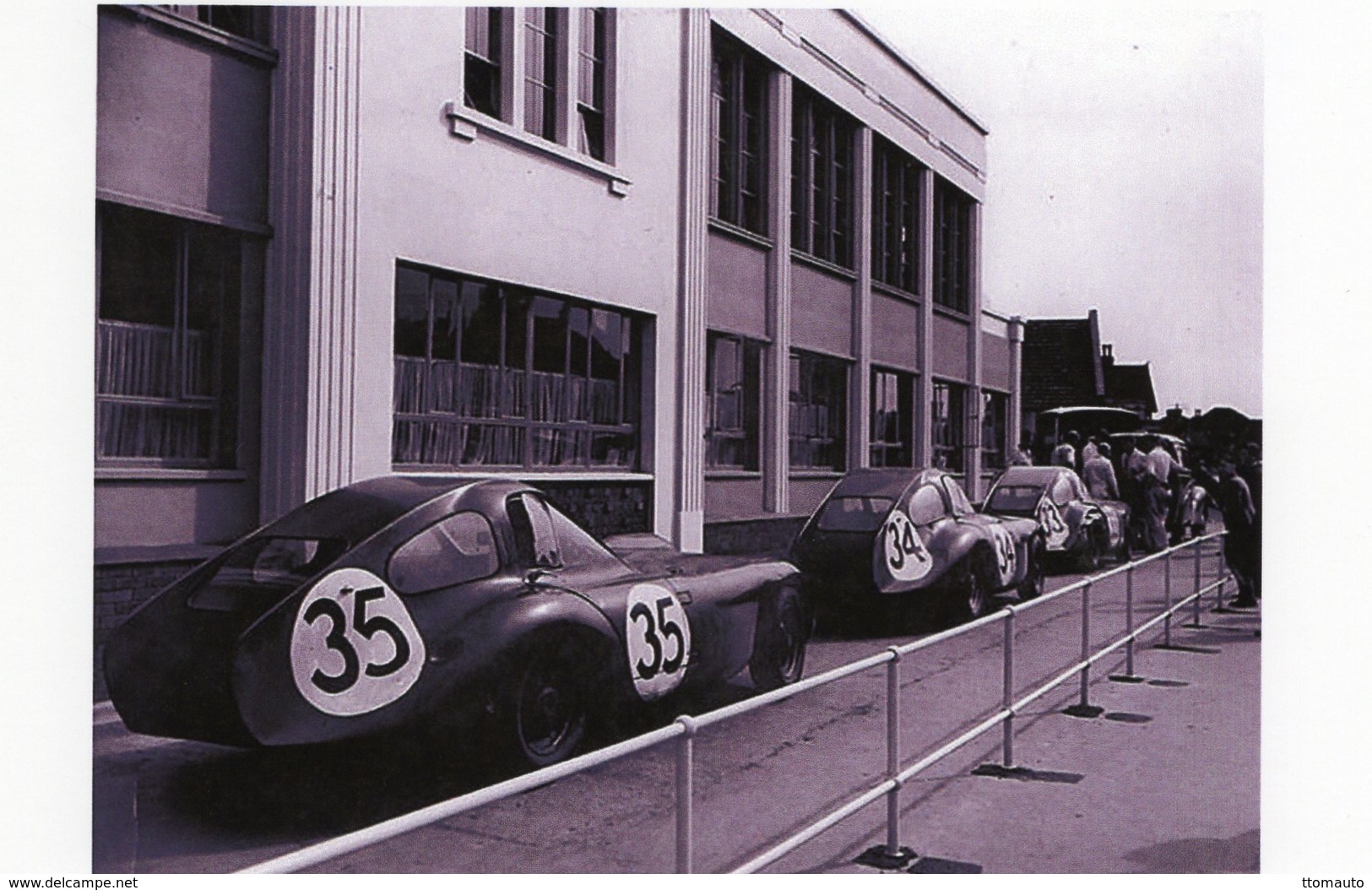 24 Heures Du Mans 1954  -  Equipe Bristol 450   -  15x10 PHOTO - Le Mans