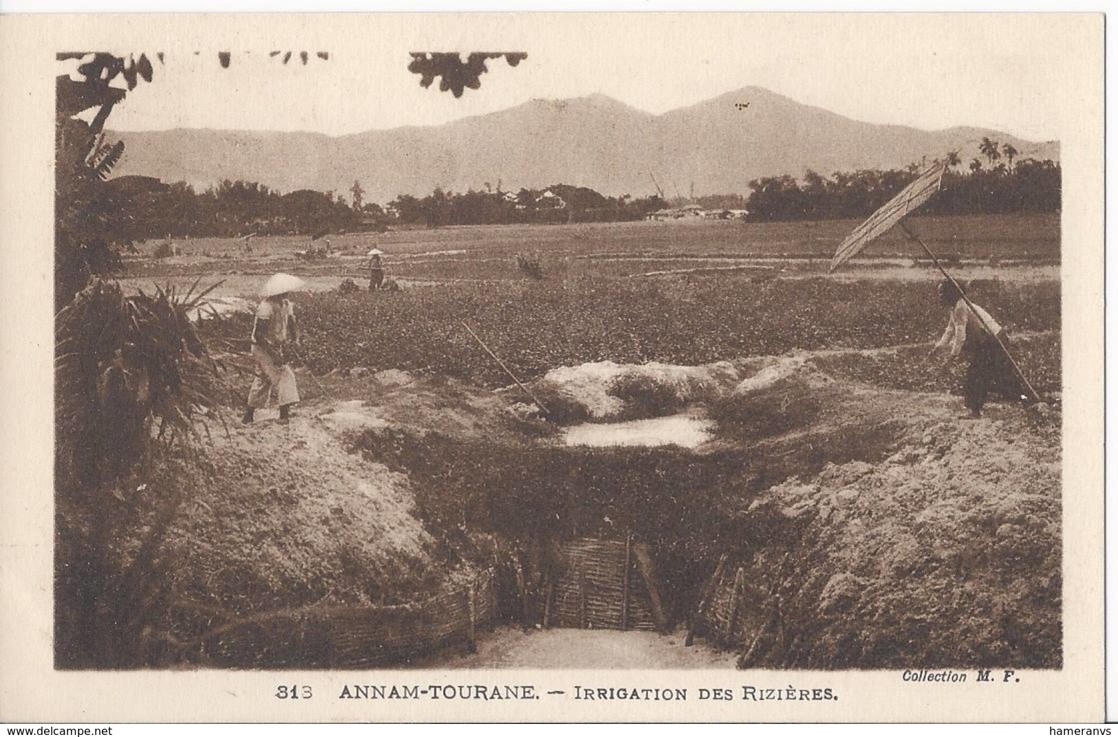 Annam-Tourane - Irrigation Des Rizières - HP1316 - Vietnam