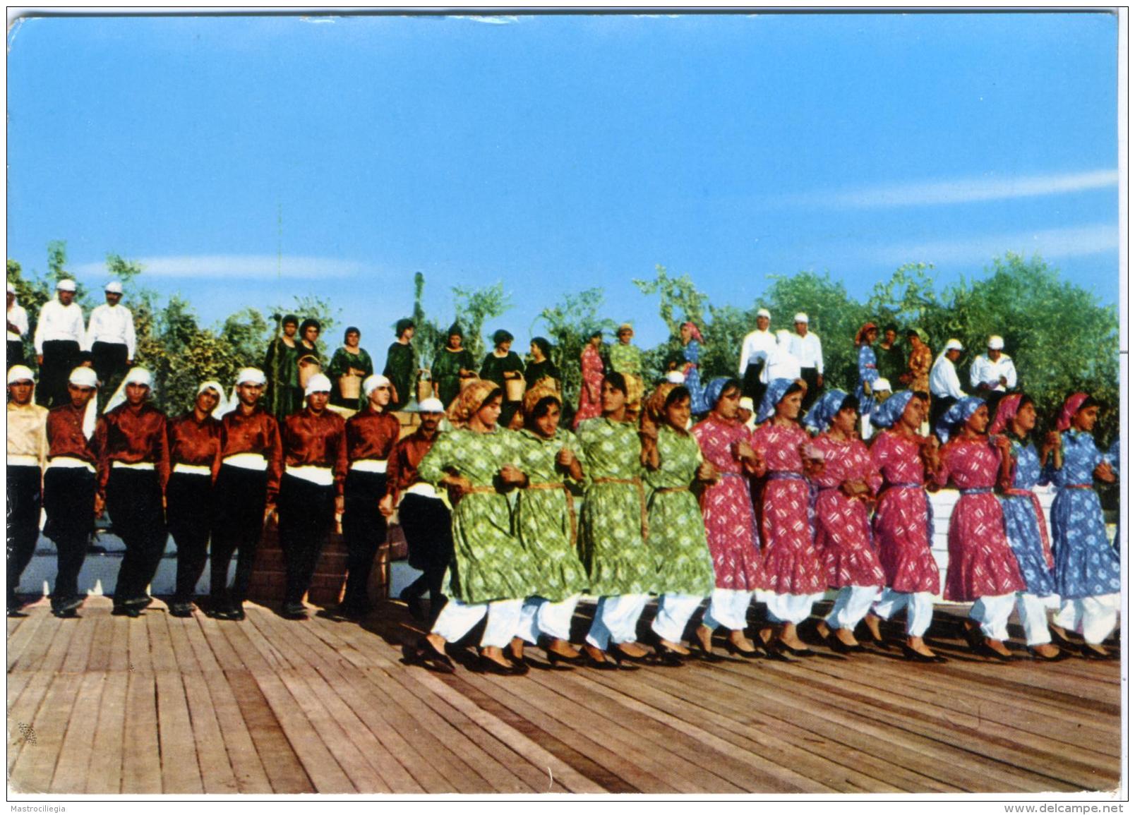 RAMALLAH  PALESTINE  Folklore Dances During Summer Festivals  Palestina - Palestina