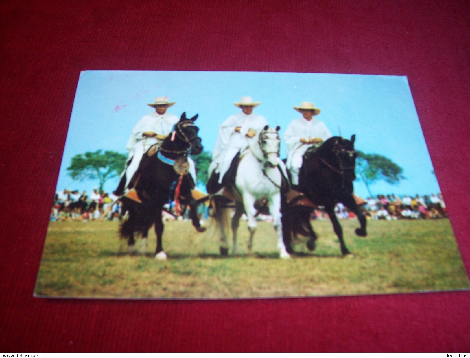 THEME ° CHEVAUX  / CHEVAL° LIMA 156m PERU LOS FAMOSOS CABALLOS DE PASO LIMA 512 Ft PERU THE FAMOUS AMBLING HORSES 1988 - Chevaux