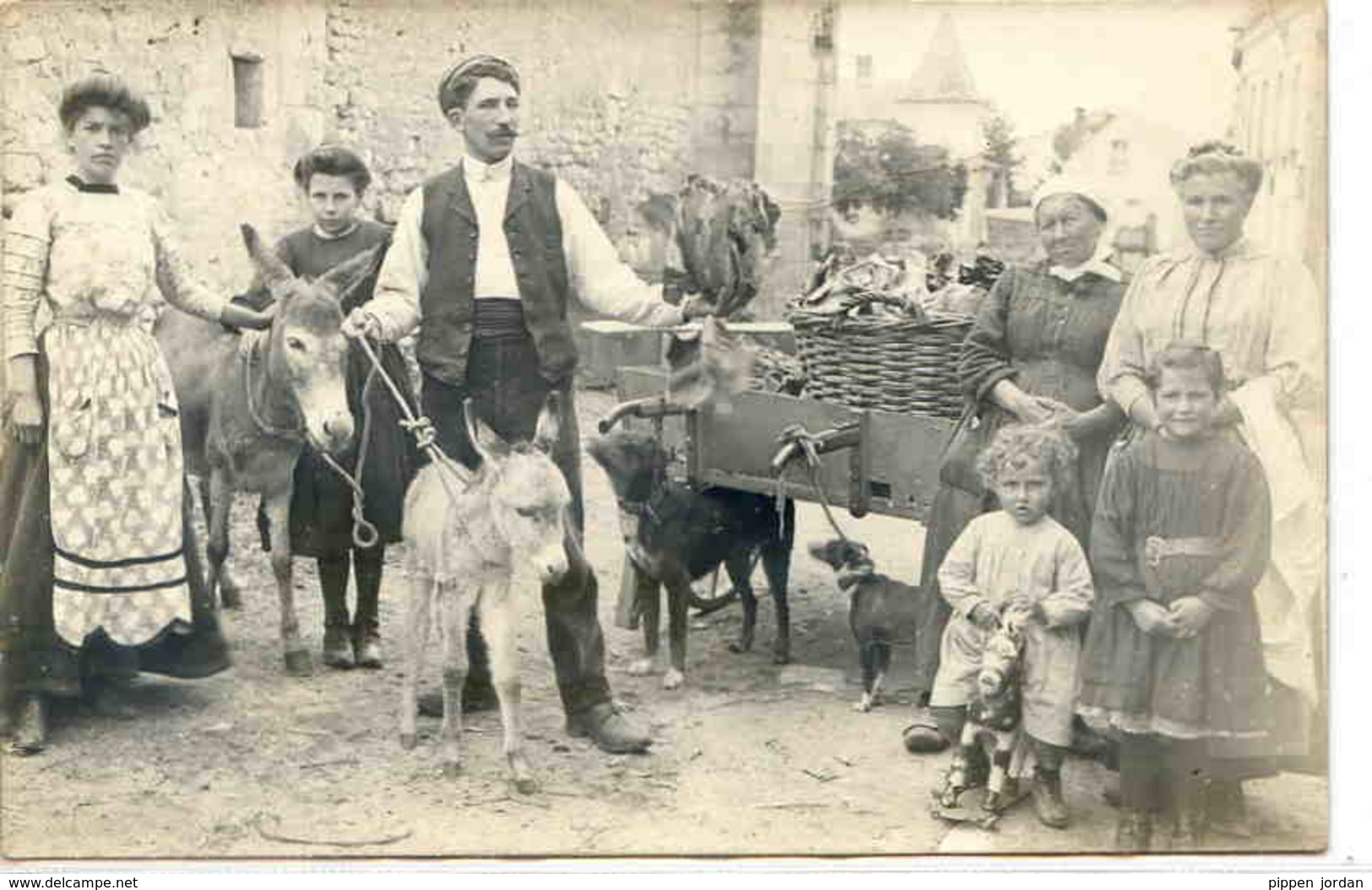 Métiers : Marchand Ambulant Avec ânes Et Chiens * Belle CPA - Artisanat