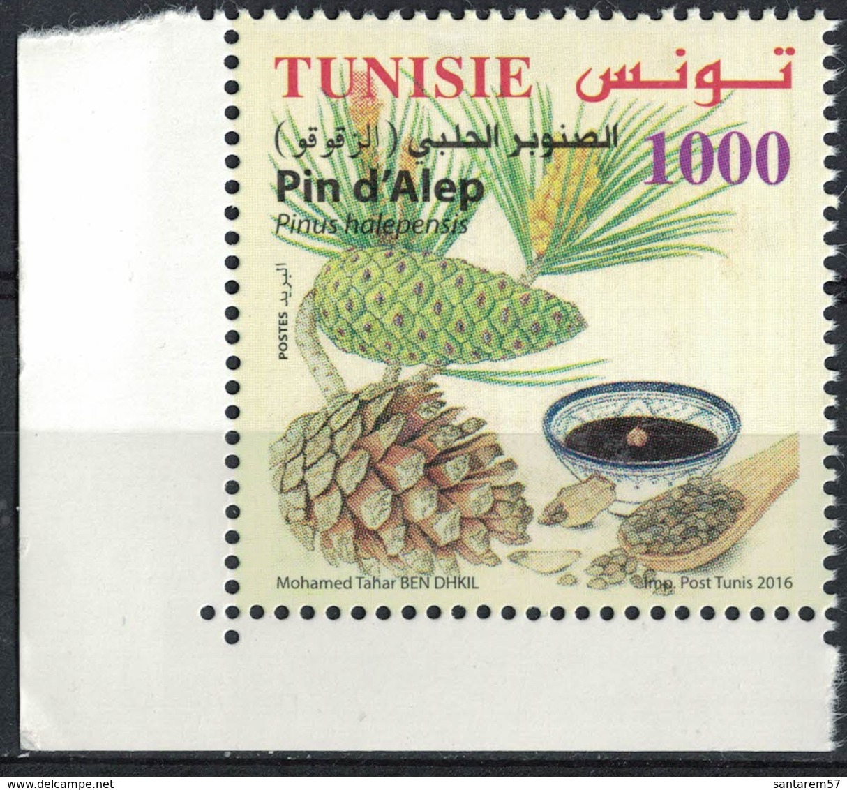 Tunisie 2016 Neuf Avec Gomme Pin D'Alep Pinus Halepensis - Tunisie (1956-...)