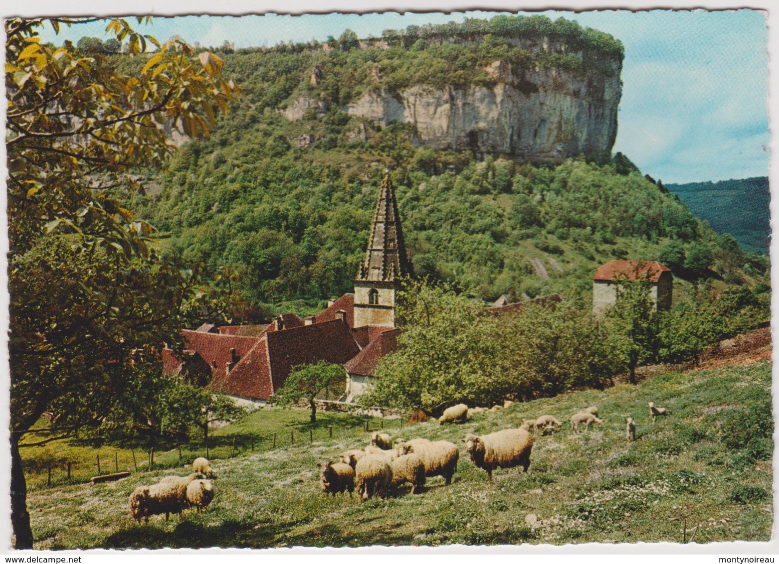 Jura :  BAUME Les MESSIEURS  : L  Abbaye , Mouton - Altri & Non Classificati