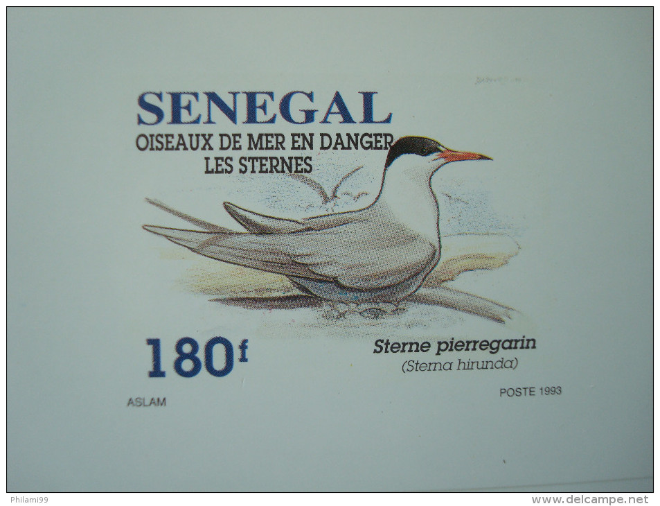 SENEGAL 1993 / 1153-1156 / 4 LUXE PROOFS / BIRDS FAUNA Sternes - Sénégal (1960-...)