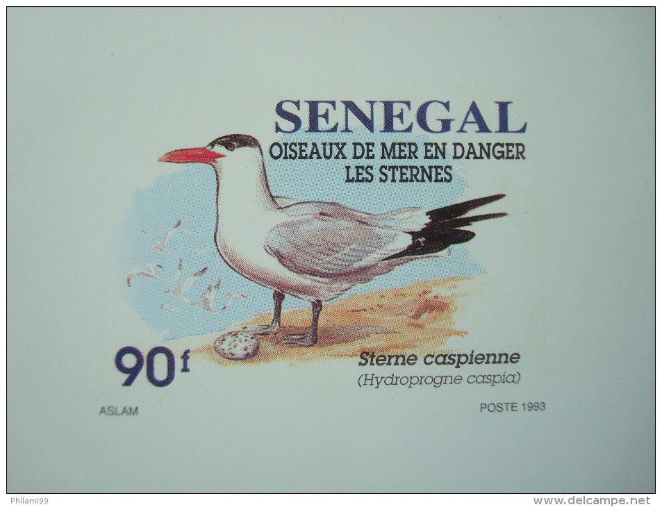 SENEGAL 1993 / 1153-1156 / 4 LUXE PROOFS / BIRDS FAUNA Sternes - Sénégal (1960-...)