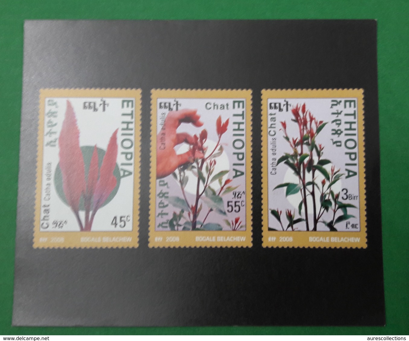 ETHIOPIA ETHIOPIE ¤ DELUXE PROOF EPREUVE DE LUXE ¤ 2008 KHAT CHAT SHEWING AND ITS CONSEQUENCES PLANT PLANTS ¤ ULTRA RARE - Ethiopie