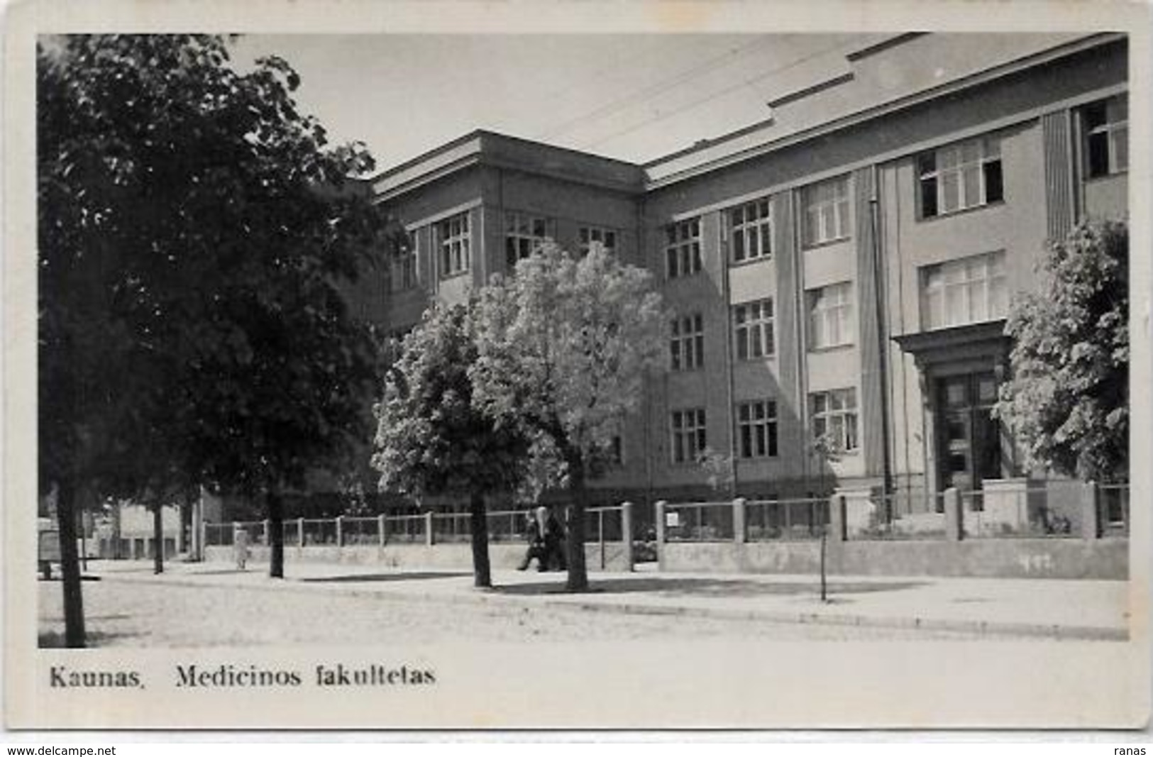 CPA Lituanie Lituania Carte Photo Non Circulé Kaunas Faculté De Médecine - Lituanie