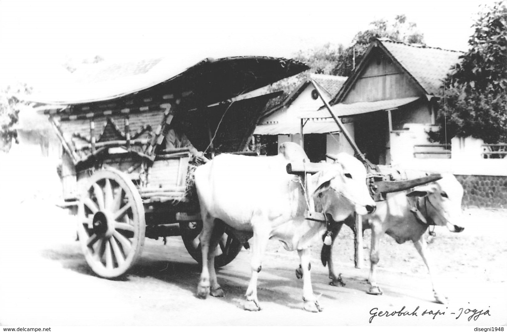 07338 " PHOTOGRAPHIC CARD IN BLACK AND WHITE - BELAKANG BALI HOTEL - DENPASAR - INDONESIA" CART. ORIG. NON SPED. - Indonesia