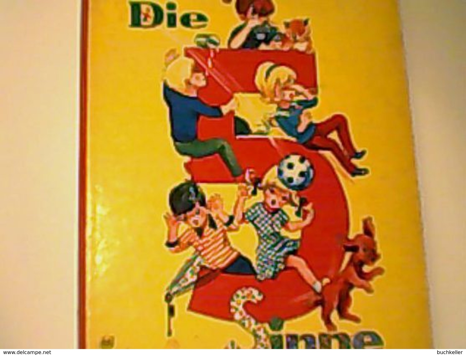 Die 5 Sinne - Bilderbuch Verlag S&S Schwager & Steinlein 1966 - Bilderbücher