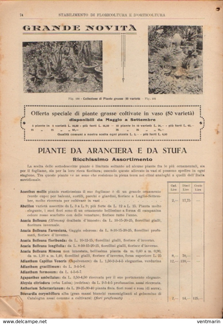 Catalogo 1929 Brocani & Figli à Foligno - Jardinage