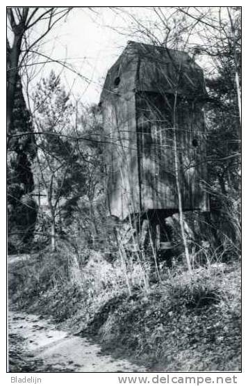 DEURLE - Sint-Martens-Latem (O.Vl.) - Molen/moulin - Molen Cyriel Buysse, 'n Vergeten En Overwoekerd Molenrestant (1989) - Sint-Martens-Latem