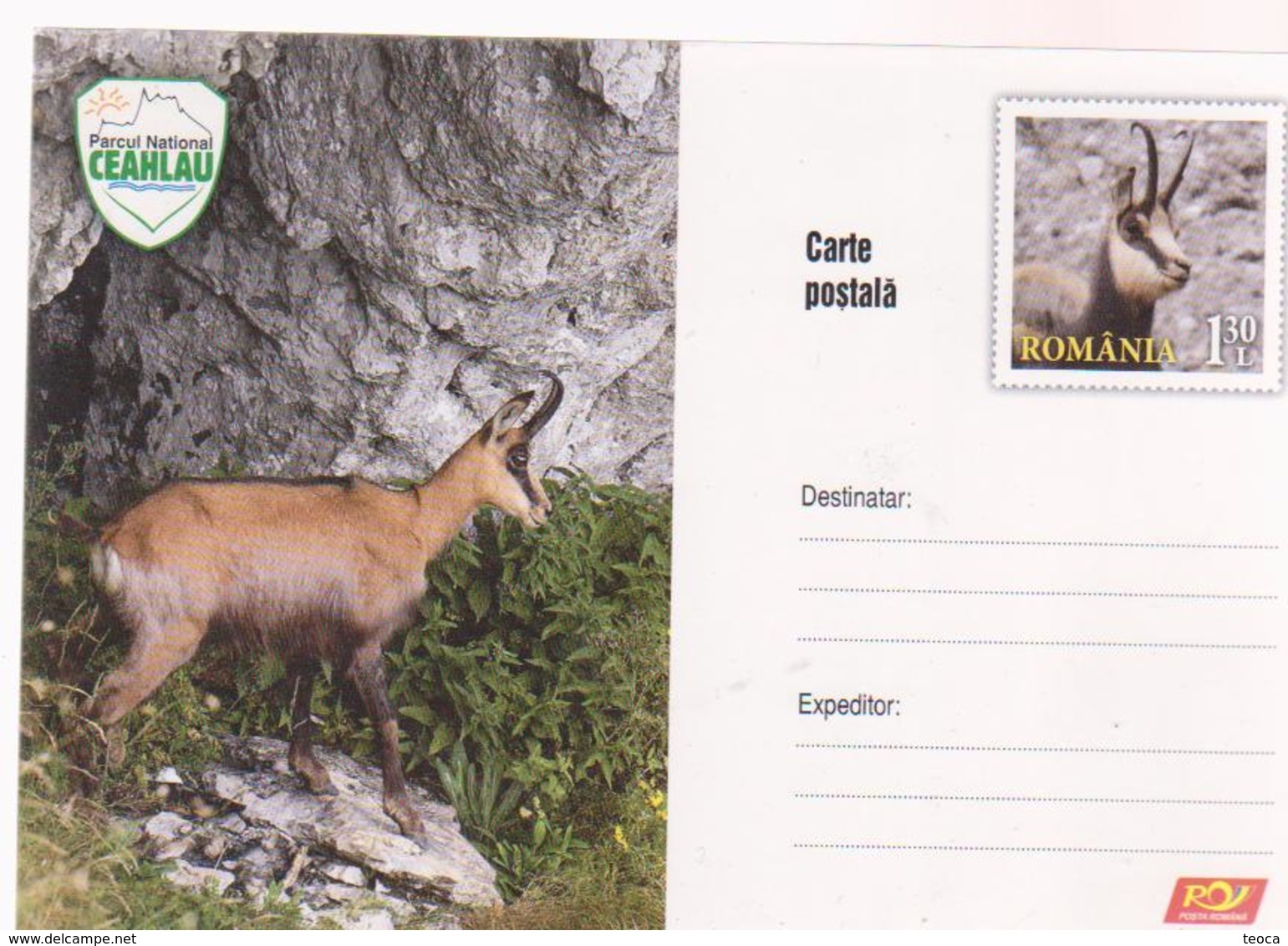 Deer Post Card , Zoo Park National Ceahlau , - Otros & Sin Clasificación