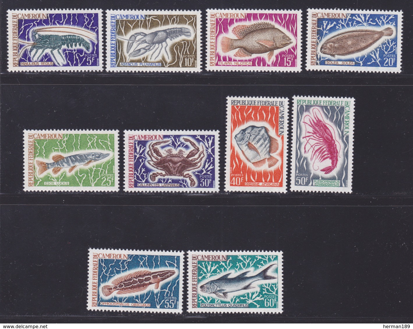 CAMEROUN N°  456 à 465 ** MNH Neufs Sans Charnière, TB (D7094) Faune Marine, Possons, Crustacés - Cameroon (1960-...)