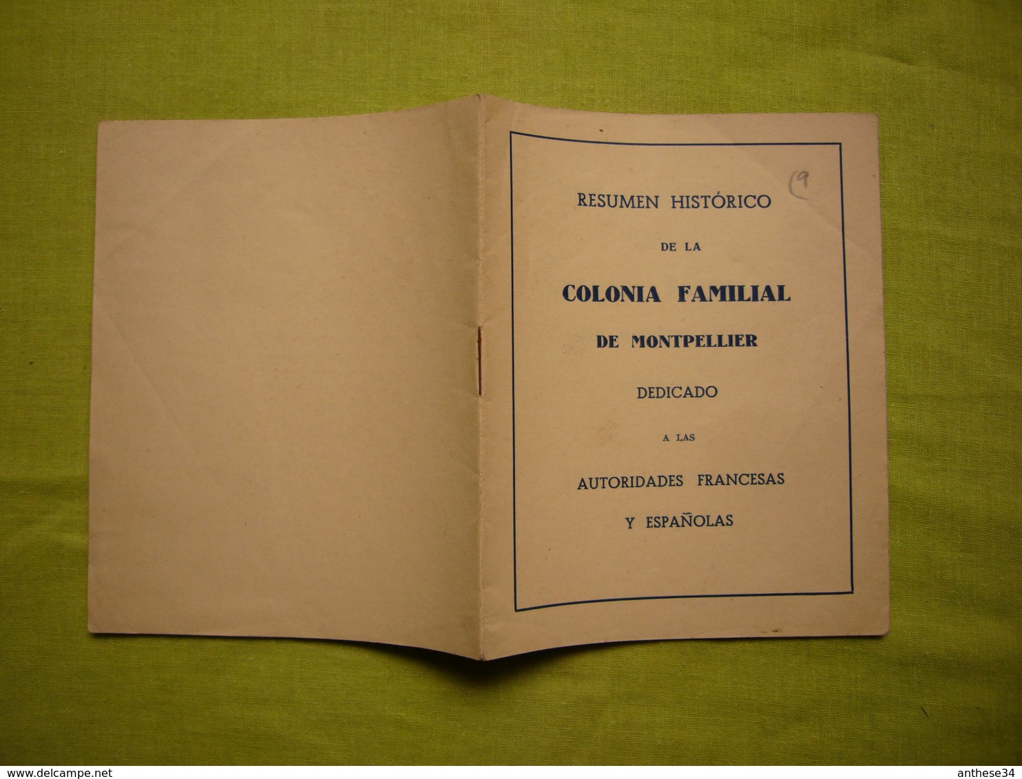 Plaquette Résumé Historique De La Colonie Familiale Espagnole De Montpellier Resumen Historico Colonia Familial - Documents Historiques