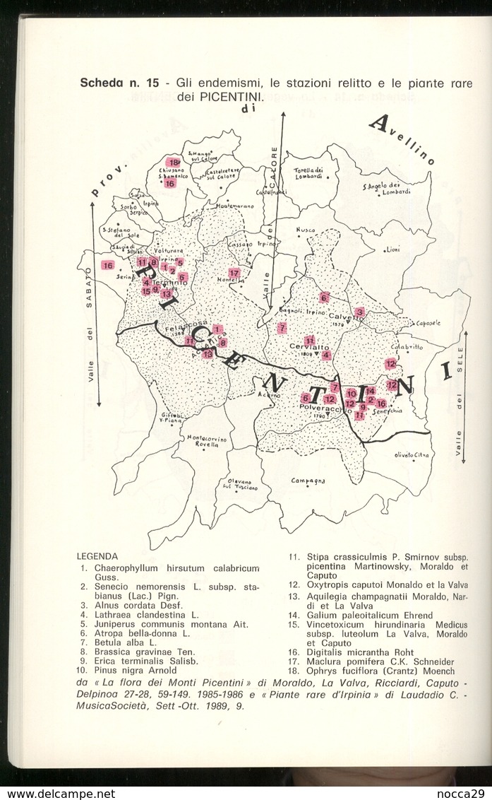 OPUSCOLO "IL VINO NELLA TRADIZIONE" PREMIO GIORNALISTICO DI ECOLOGIA - ENOLOGIA. 1992 - I MONTI PICENTINI - AVELLINO - Textos Científicos