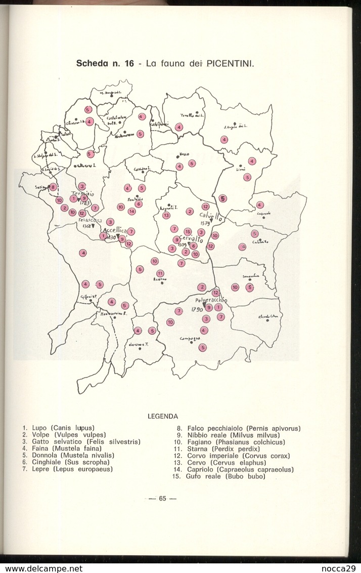 OPUSCOLO "IL VINO NELLA TRADIZIONE" PREMIO GIORNALISTICO DI ECOLOGIA - ENOLOGIA. 1992 - I MONTI PICENTINI - AVELLINO - Textes Scientifiques