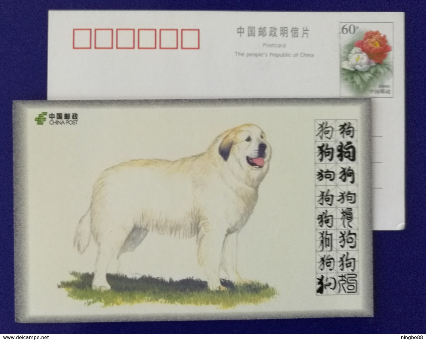 Pyrenean Mountain Dog,Montagne Des Pyrenees,China 2008 World Famous Dog Advertising Pre-stamped Card - Perros