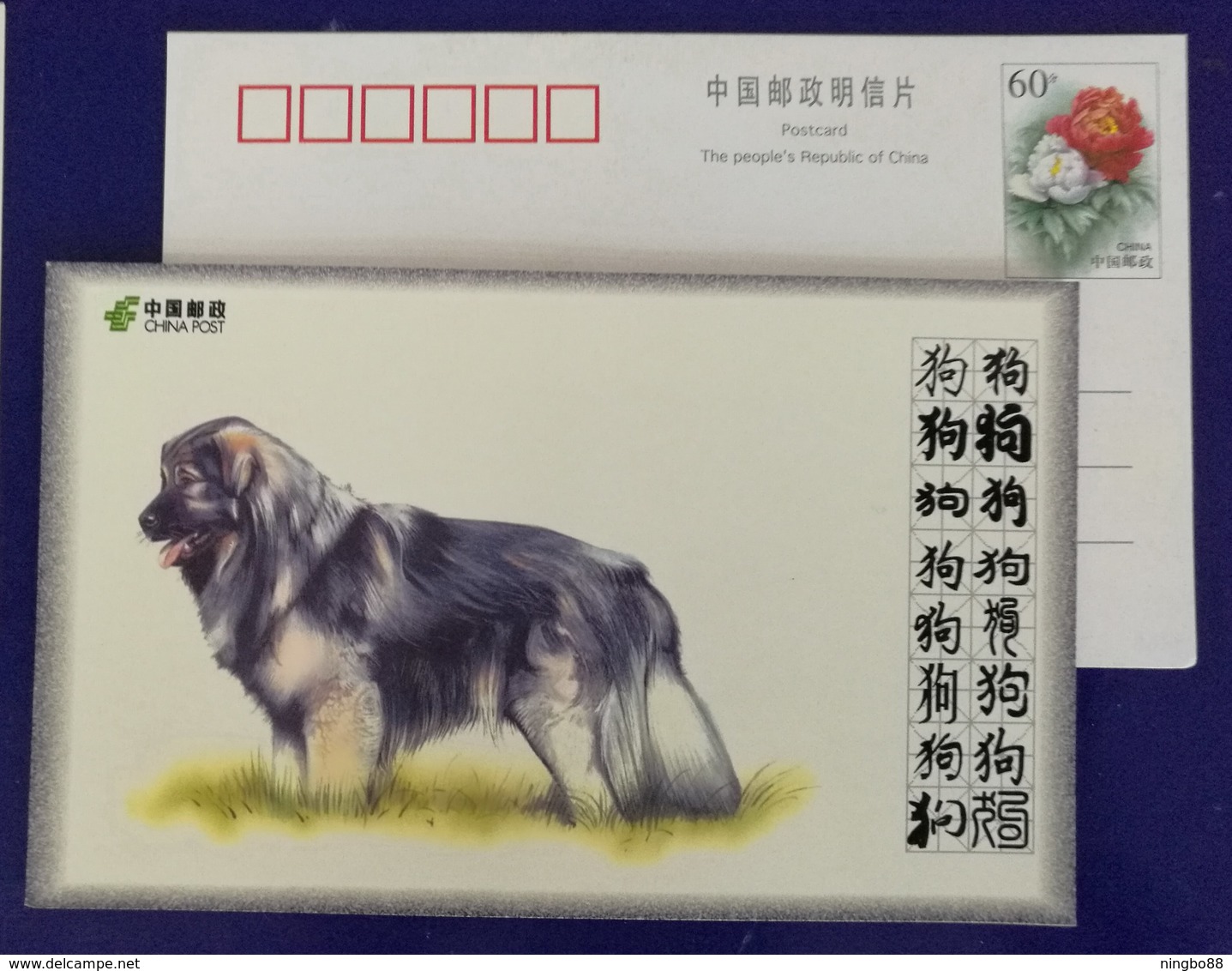 Sarplaninac,Illyrian Sheepdog,China 2008 World Famous Dog Advertising Pre-stamped Card - Dogs
