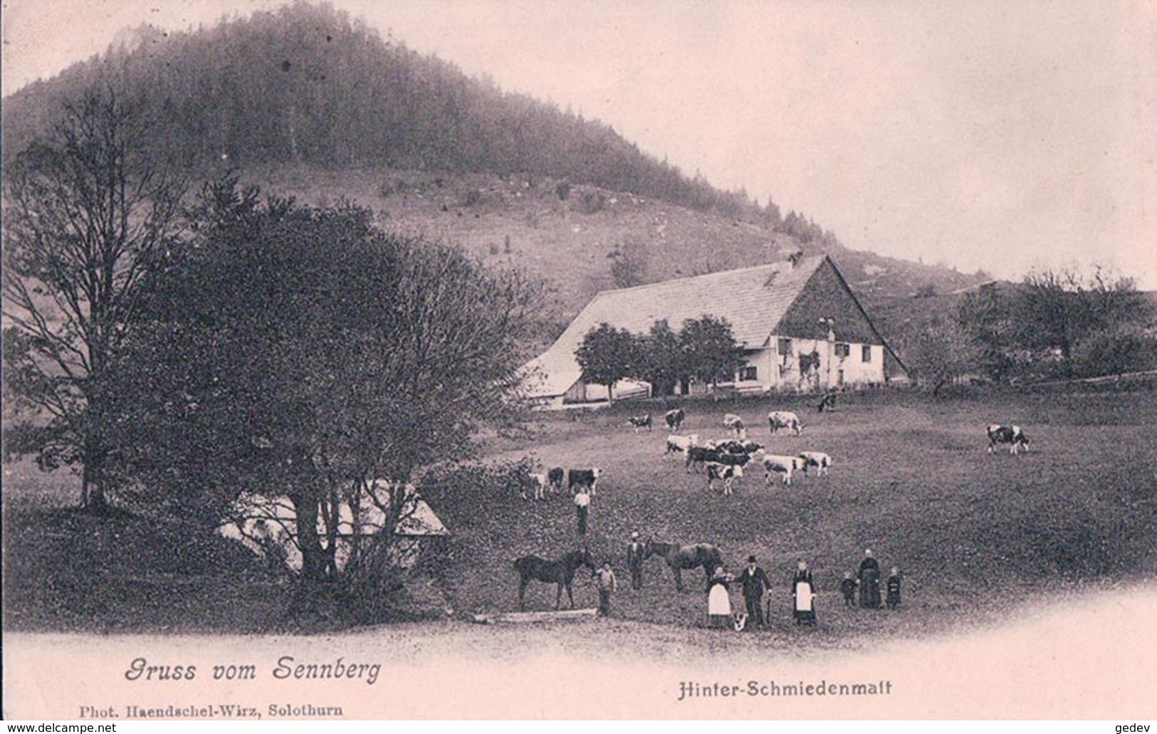 Gruss Vom Sennberg Hinter-Schmiedenmatt (28.11.1905) - Autres & Non Classés